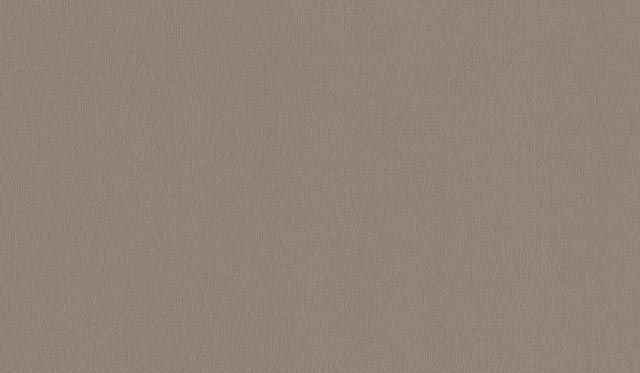 Aluminio Cepillado F501